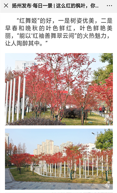 QQ图片20191221140333_副本.jpg