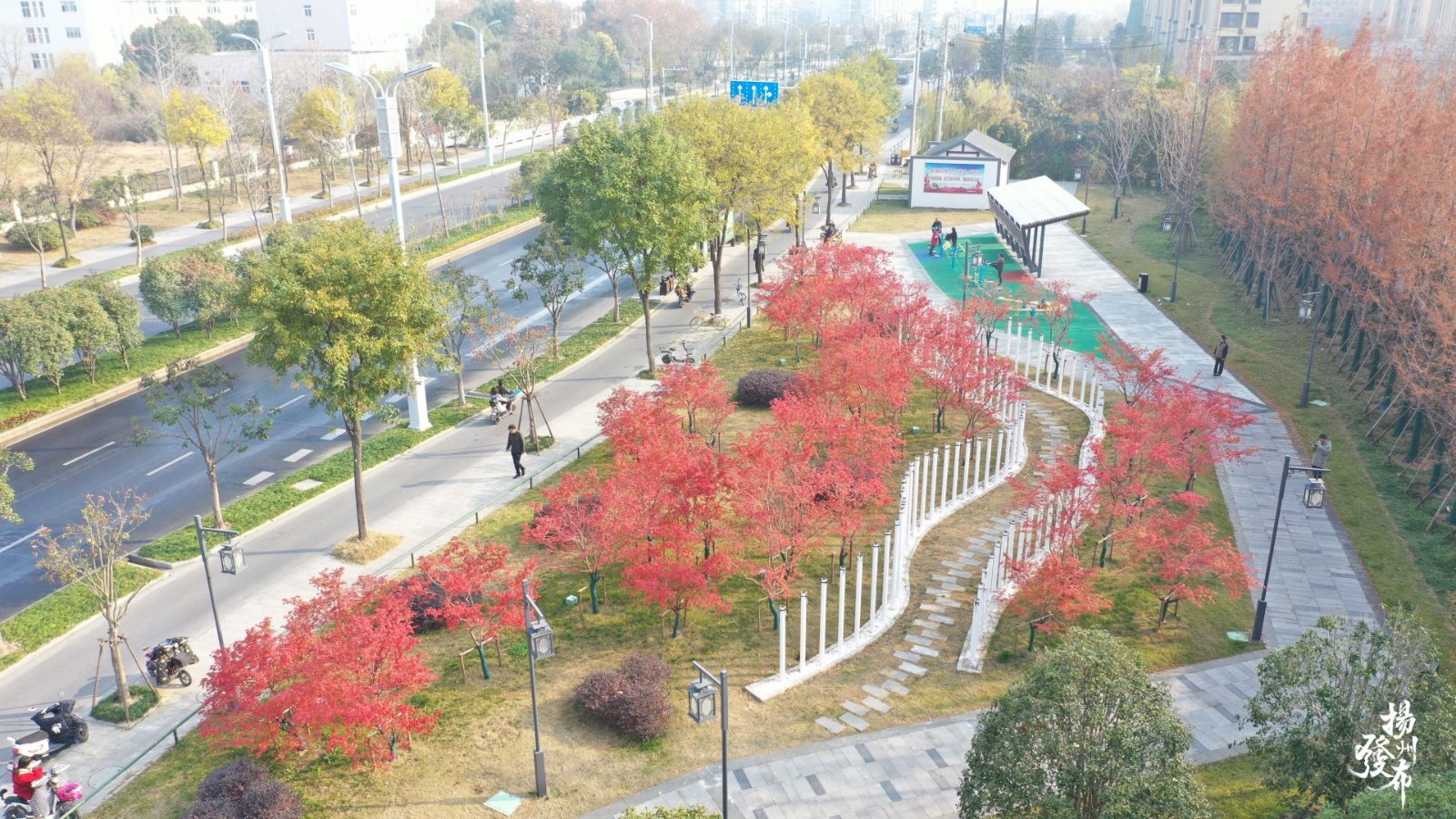 图片5.jpg